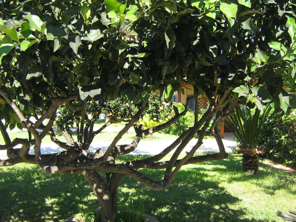 Tenuta Paifer Otranto Exterior foto